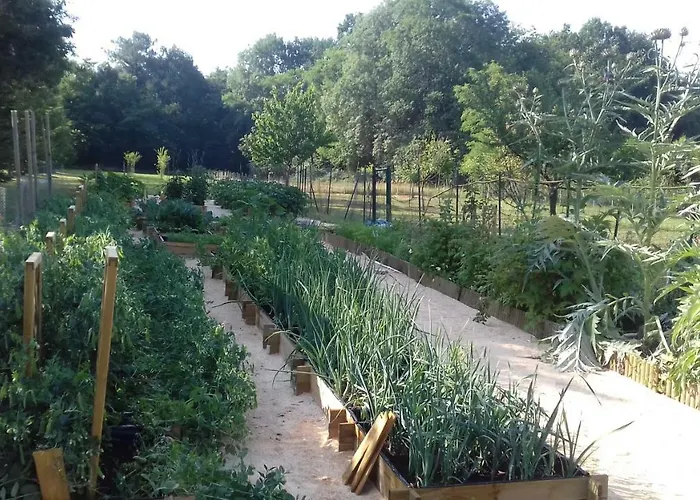 La Table De Pierre Bed & Breakfast